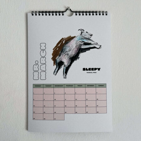 Hundekalender – Bild 12