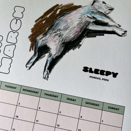 Hundekalender – Bild 11